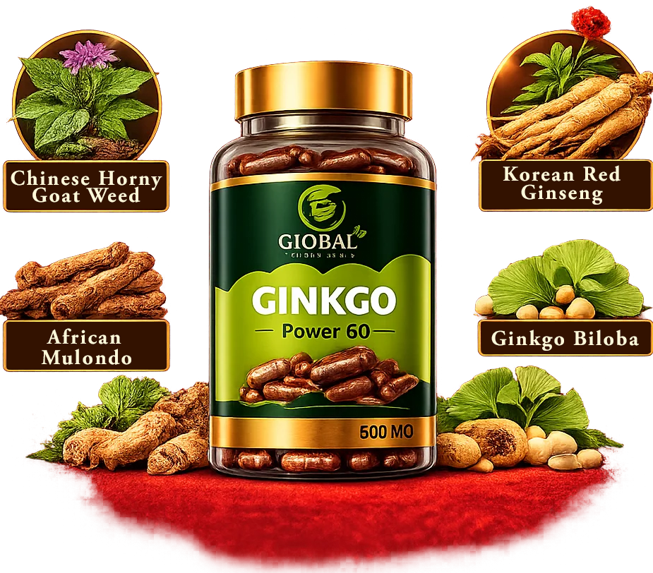 Ginkgo Power 60 प्रोडक';